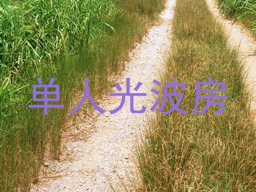 单人光波房