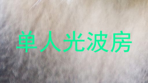 单人光波房