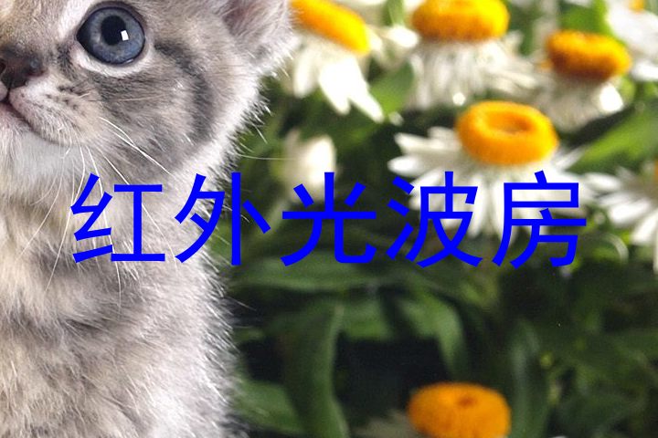 红外光波房