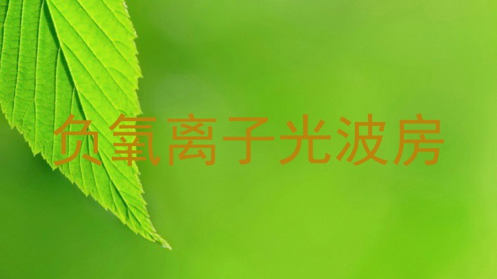 负氧离子光波房
