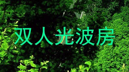 双人光波房