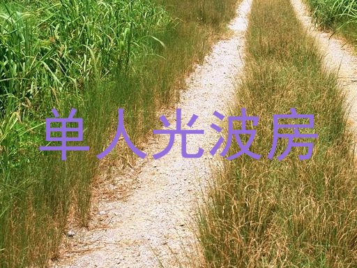单人光波房