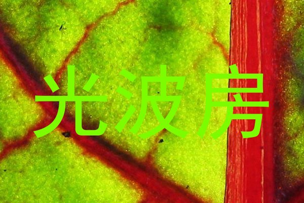 光波房
