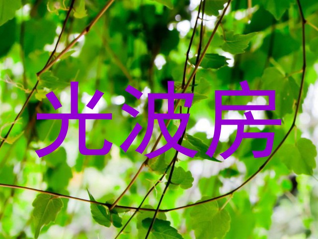 光波房