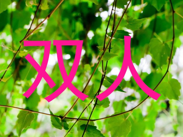 双人