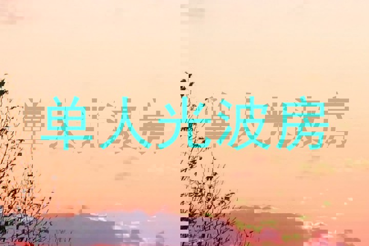 单人光波房
