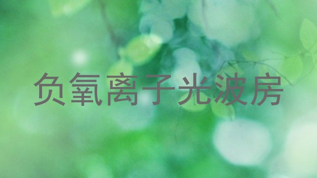 负氧离子光波房