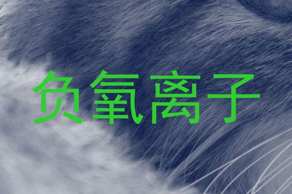 负氧离子