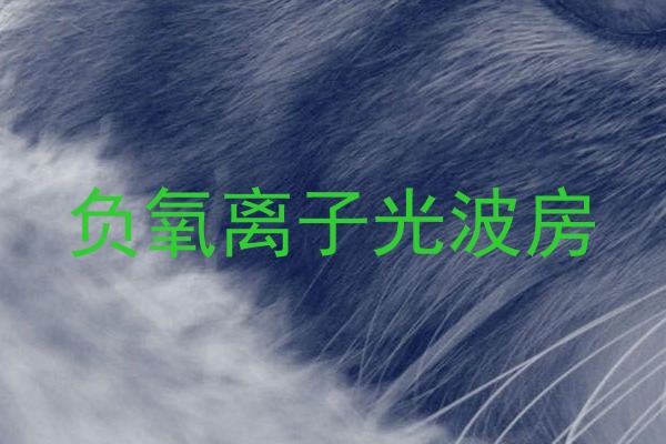 负氧离子光波房