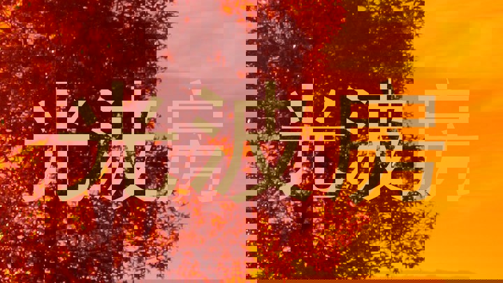 光波房