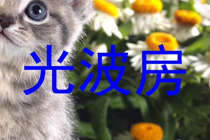 光波房