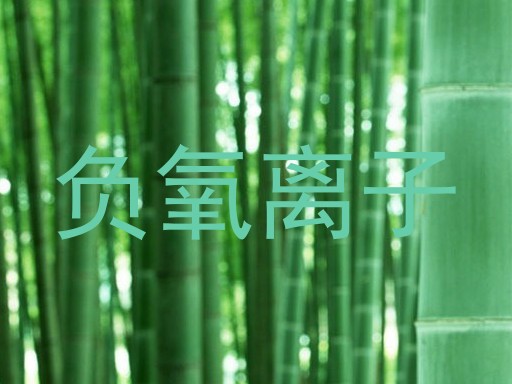 负氧离子