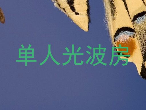 单人光波房