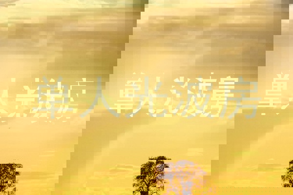 单人光波房
