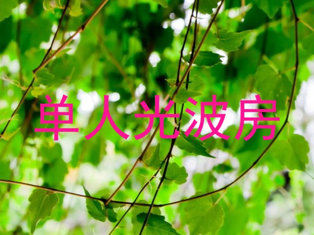 单人光波房