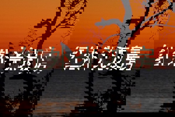 红外光波房