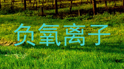 负氧离子