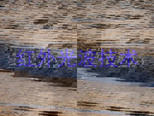 红外光波技术