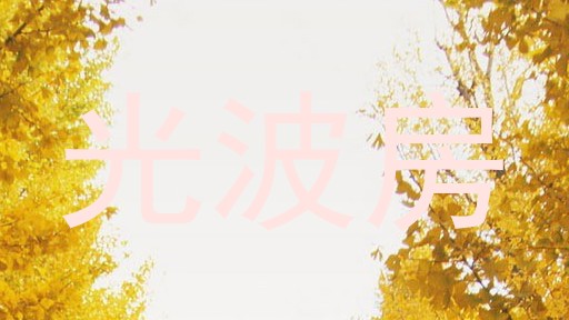 光波房