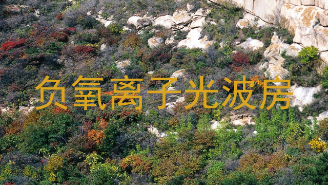 负氧离子光波房