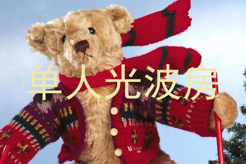 单人光波房