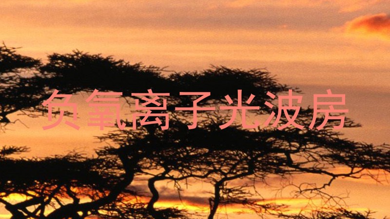 负氧离子光波房