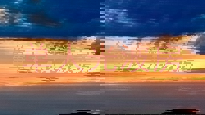 单人光波房