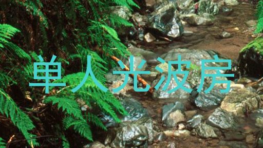 单人光波房