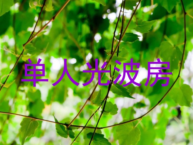 单人光波房