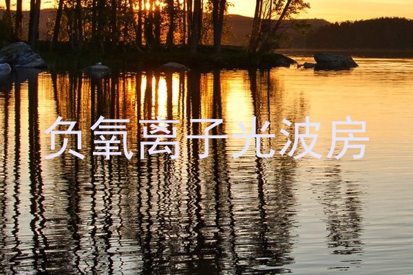 负氧离子光波房