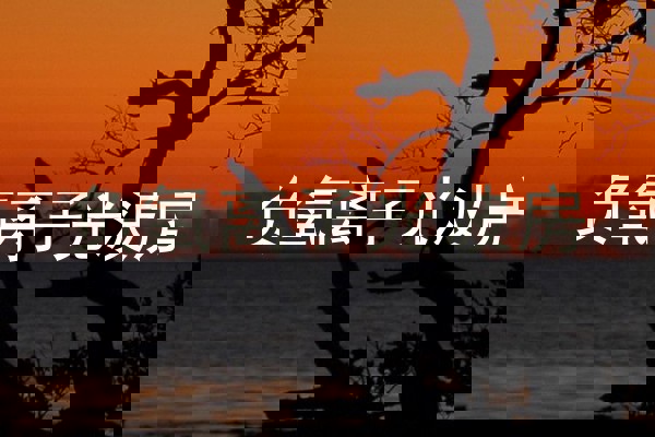 负氧离子光波房