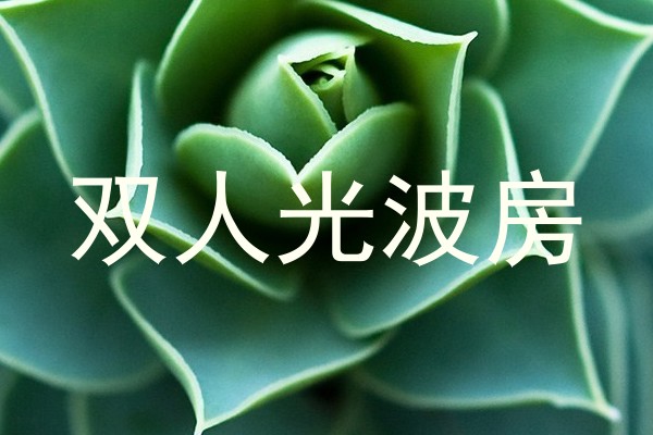 双人光波房