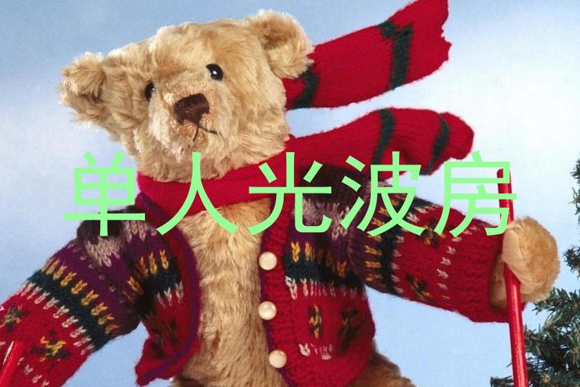 单人光波房