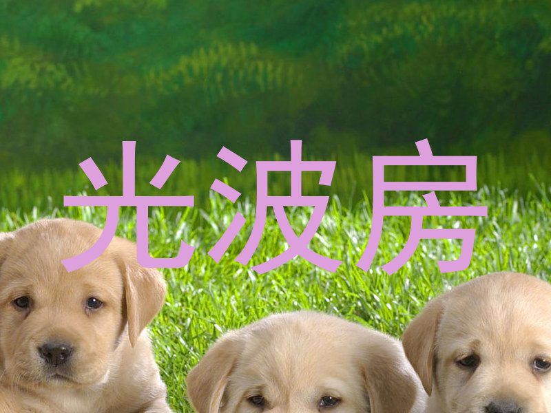 光波房