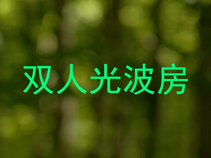 双人光波房