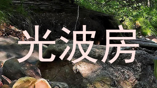 光波房
