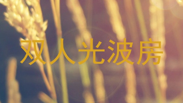 双人光波房