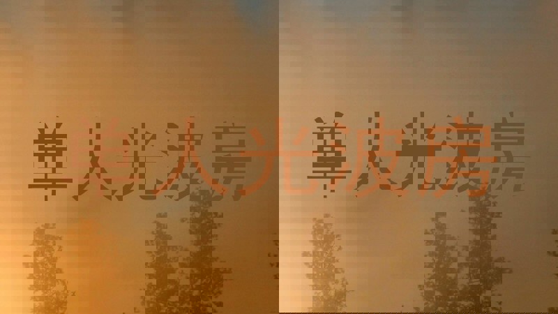 单人光波房