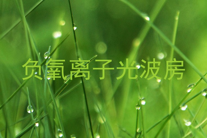 负氧离子光波房
