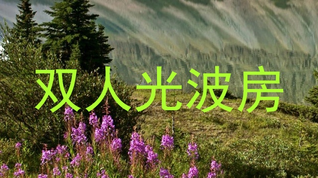 双人光波房