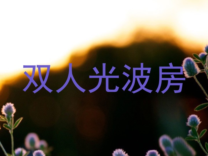 双人光波房