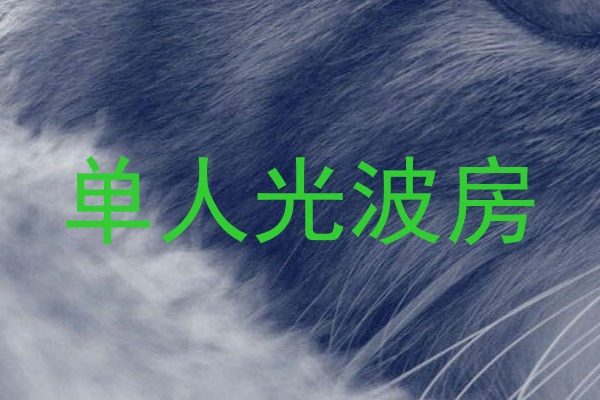 单人光波房