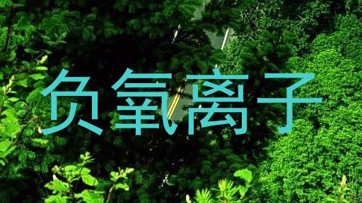 负氧离子