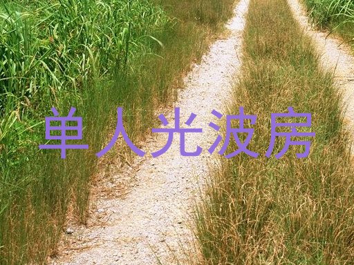 单人光波房