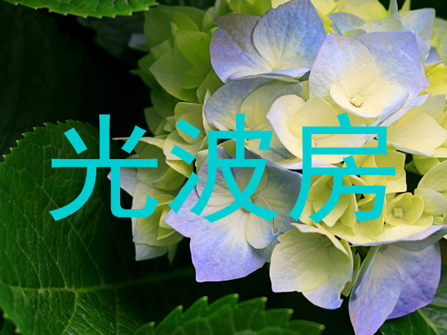 光波房