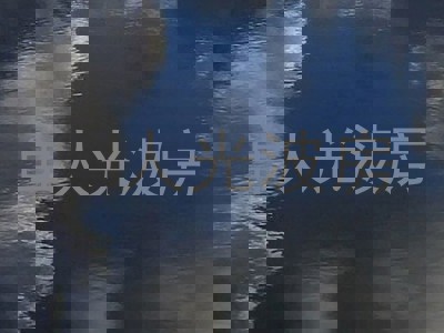 单人光波房