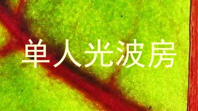 单人光波房