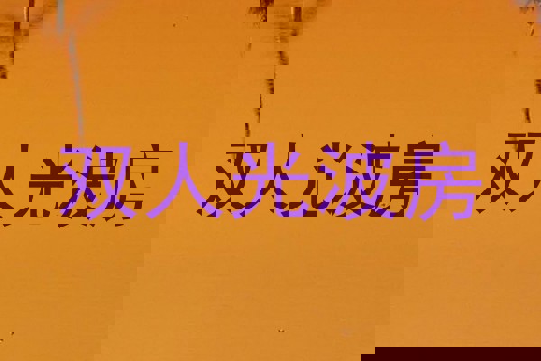 双人光波房