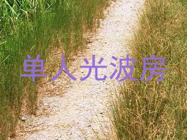 单人光波房