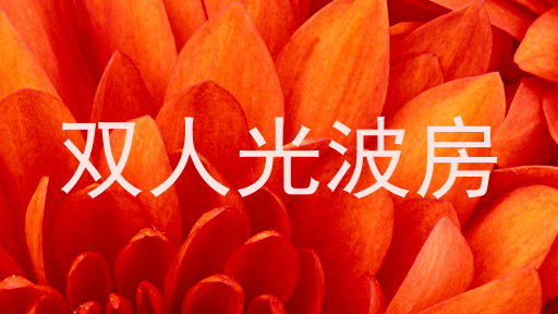 双人光波房